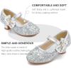 imageDufannie Girls Dress Shoes Low Heel Princess Flats Mary Jane Flower Wedding Party Glitter Shoes for Kids ToddlerGenerous Sequin Silver