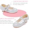 imageDufannie Girls Dress Shoes Low Heel Princess Flats Mary Jane Flower Wedding Party Glitter Shoes for Kids ToddlerGenerous Shimmer Silver